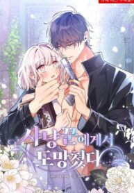 8784181b8cbb455a3233f13b3069e693b3c9641c_1013_1516_162282