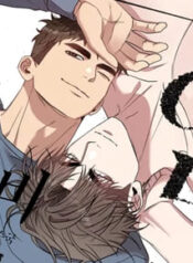 8bacb8a9aada1a73c7c281cb3cf71c65d9e5029d_500_290_37670